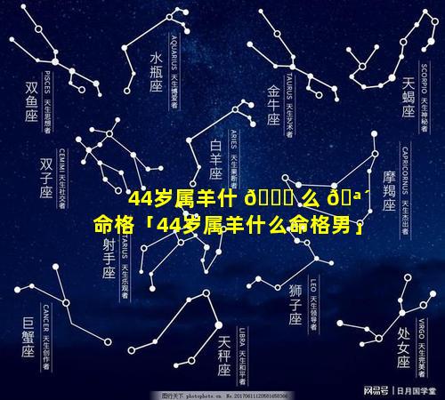 44岁属羊什 🐅 么 🪴 命格「44岁属羊什么命格男」